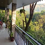 Green Tea View