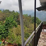 Green Tea View