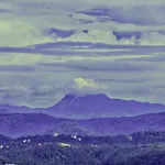 Wild Mist Homestay