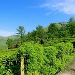 Green Magic Home