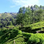 Green Magic Home