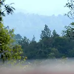 Drizzle Valley Cottage