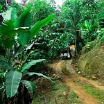 Kurinjiyil Farmstay