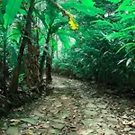 Kurinjiyil Farmstay