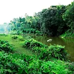 The Wayside Cottage Munnar