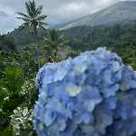 Nature Family Homestay