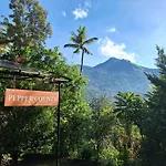 Pepper County Farm Stay