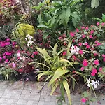 Soly\'S Villa Homestay