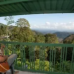 Monkey Tribe Munnar