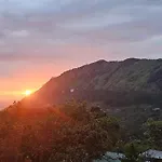 Tea Dale - All Rooms With Tea Estate View