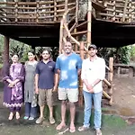 Jungle Jive Treehouse And Farm House