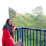 Misty Blow Palace Munnar