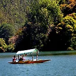 Munnar Dreams