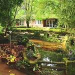 Falling Waters