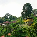 Oyo 10262 Hotel Munnar Rock