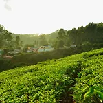 Munnar Valley View