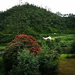 Archana Residency Munnar