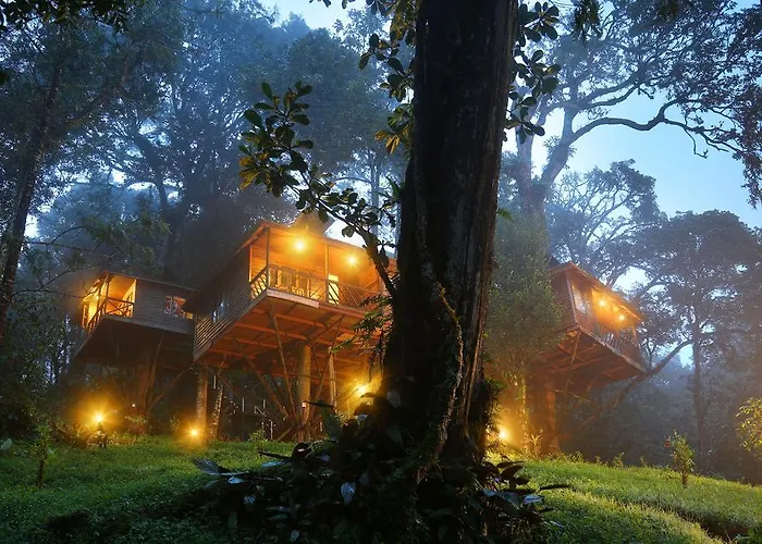 Nature Zone Jungle Resort