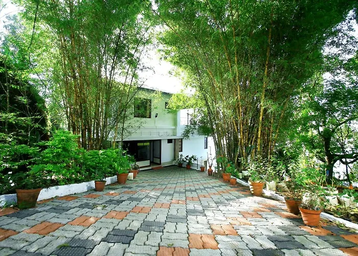 Green Magic Home