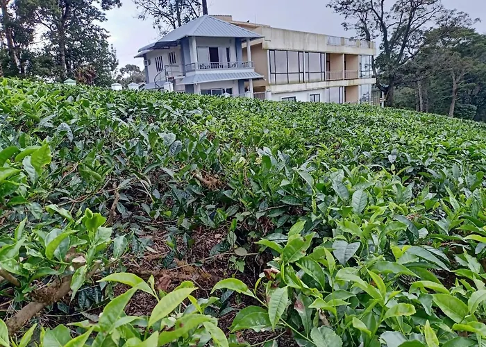 The Nirvana Resort Munnar