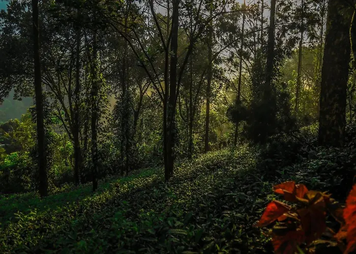 Southern Panorama Indriya Resorts & Spa