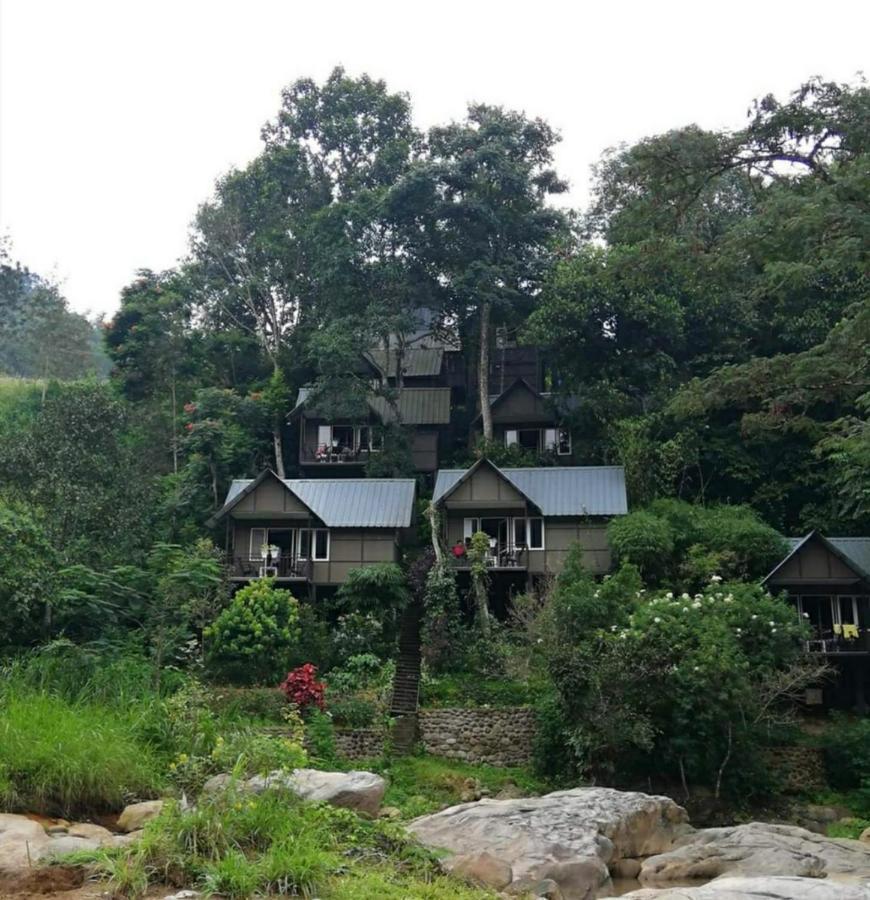 Villa Moselberg Riverside *