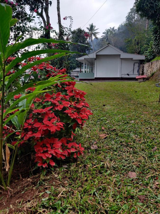 M3 Homes Lodge Munnar