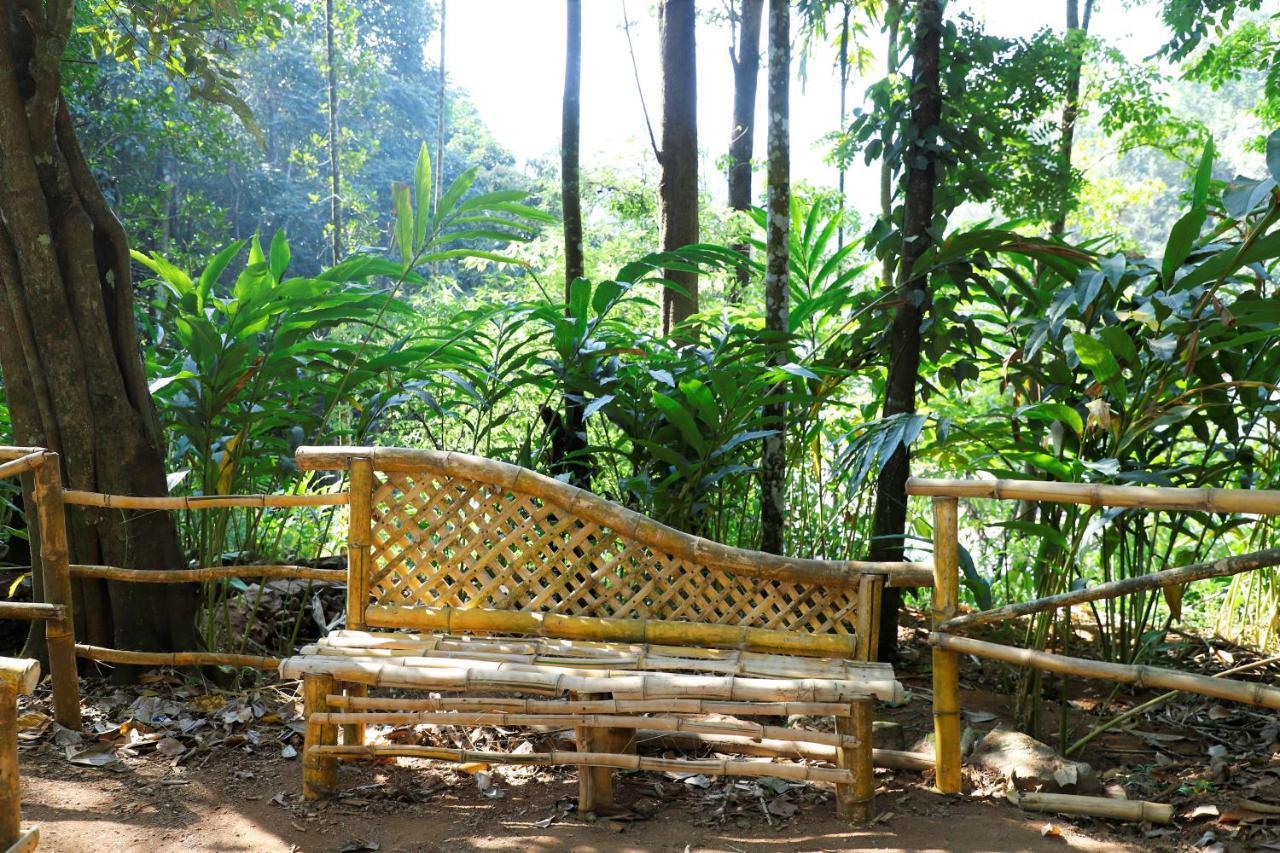Casillda Resort Munnar