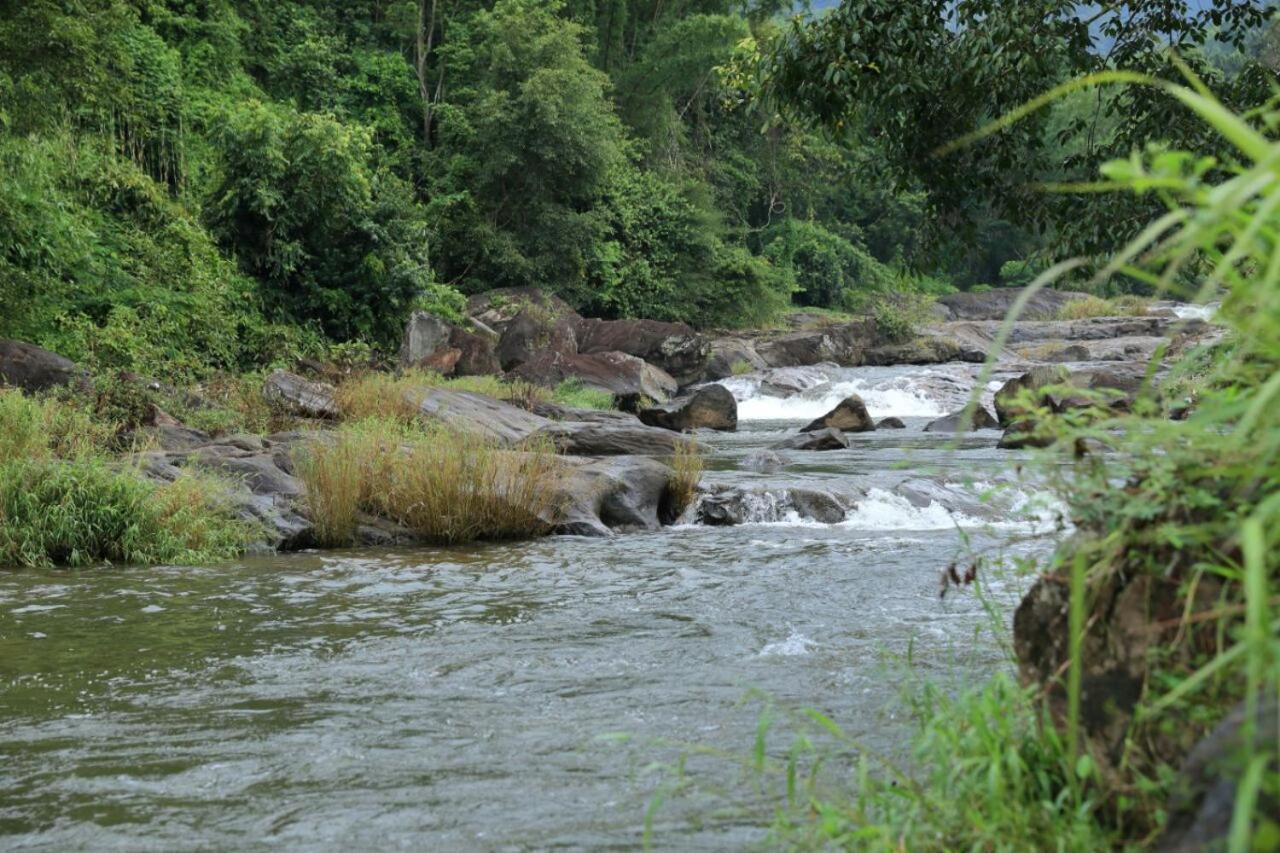 Resort Ayursakthi Riverdale