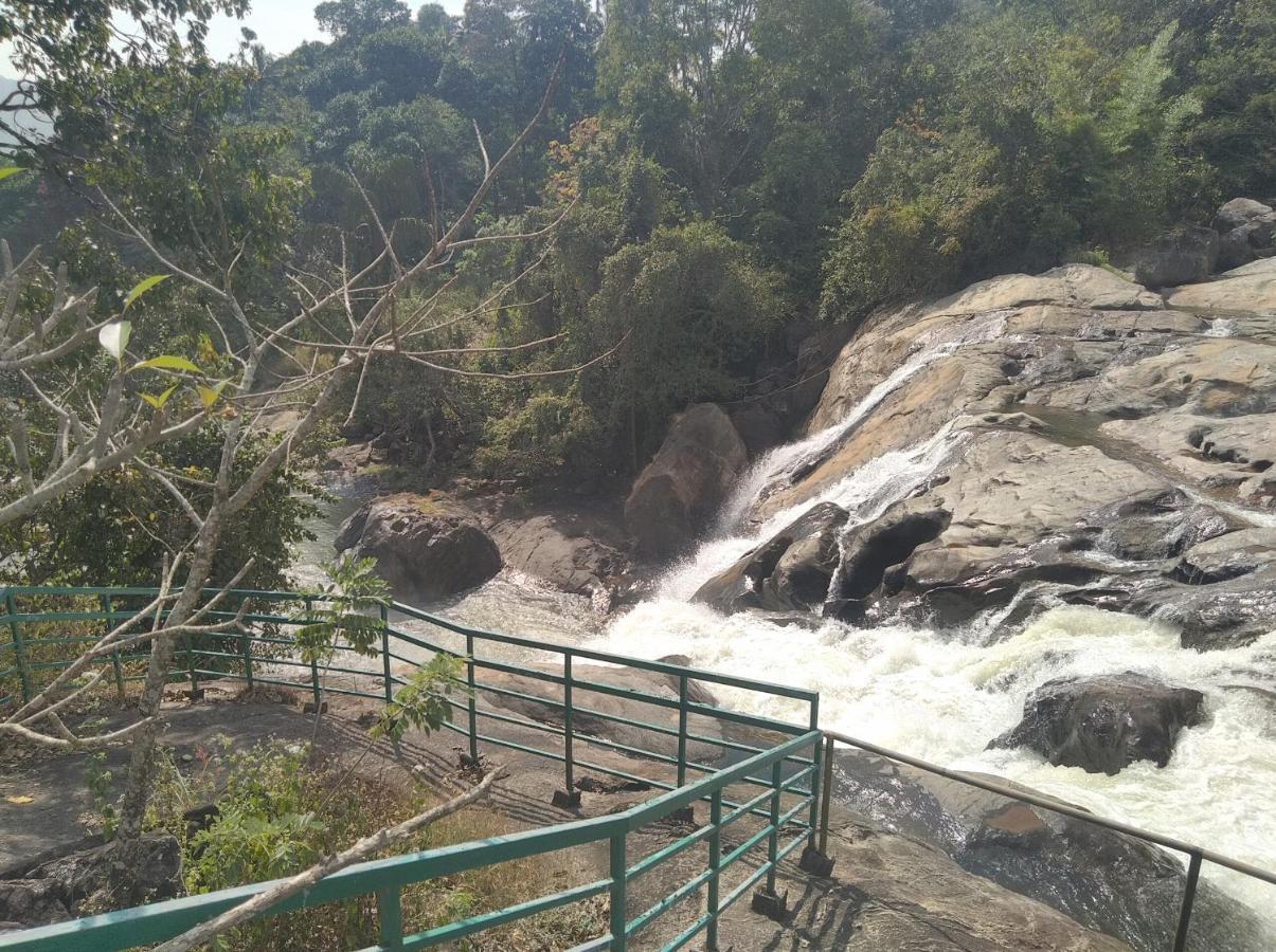 Monsoon Grande Munnar