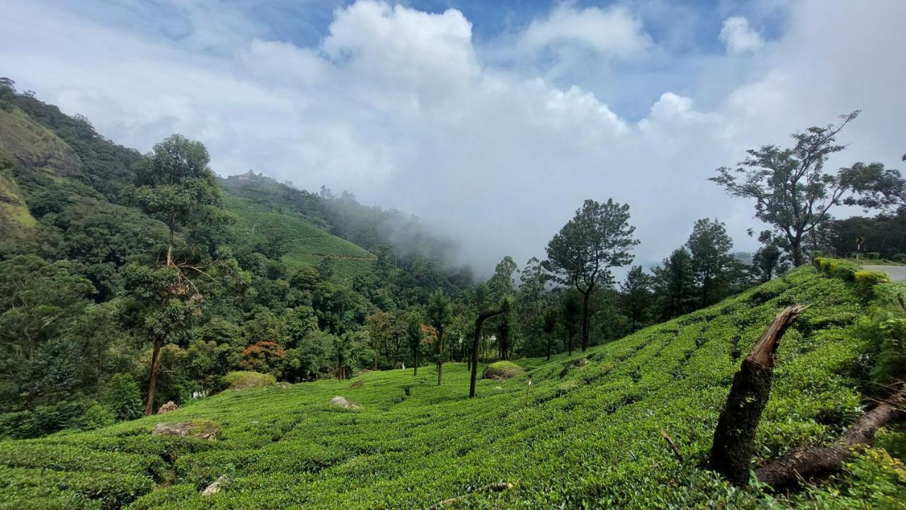 Haritha * Munnar