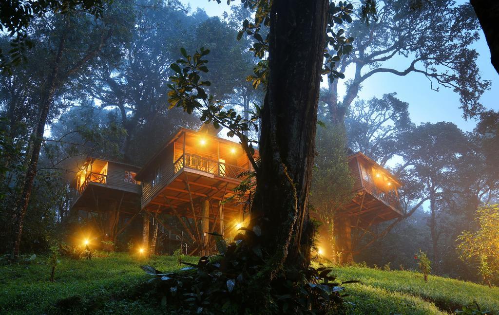 Resort Nature Zone Jungle 4*