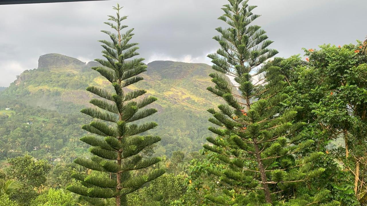 Homestay Sceva's Garden Munnar
