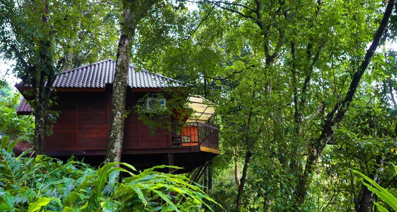 Resort Southern Panorama Indriya & 5*