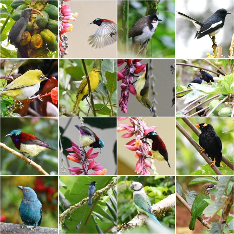 Flower Valley Plantation Homestay *
