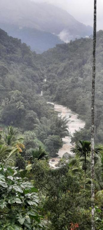 Homestay Linn View Munnar