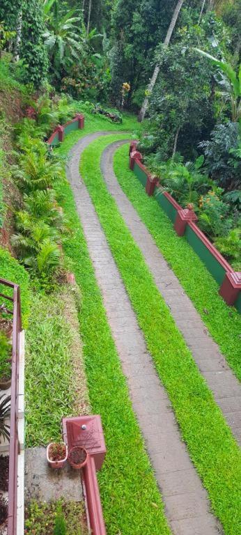 Homestay Linn View