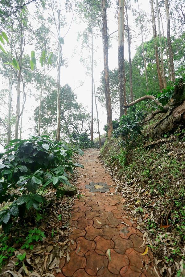 Magic Homestay Munnar