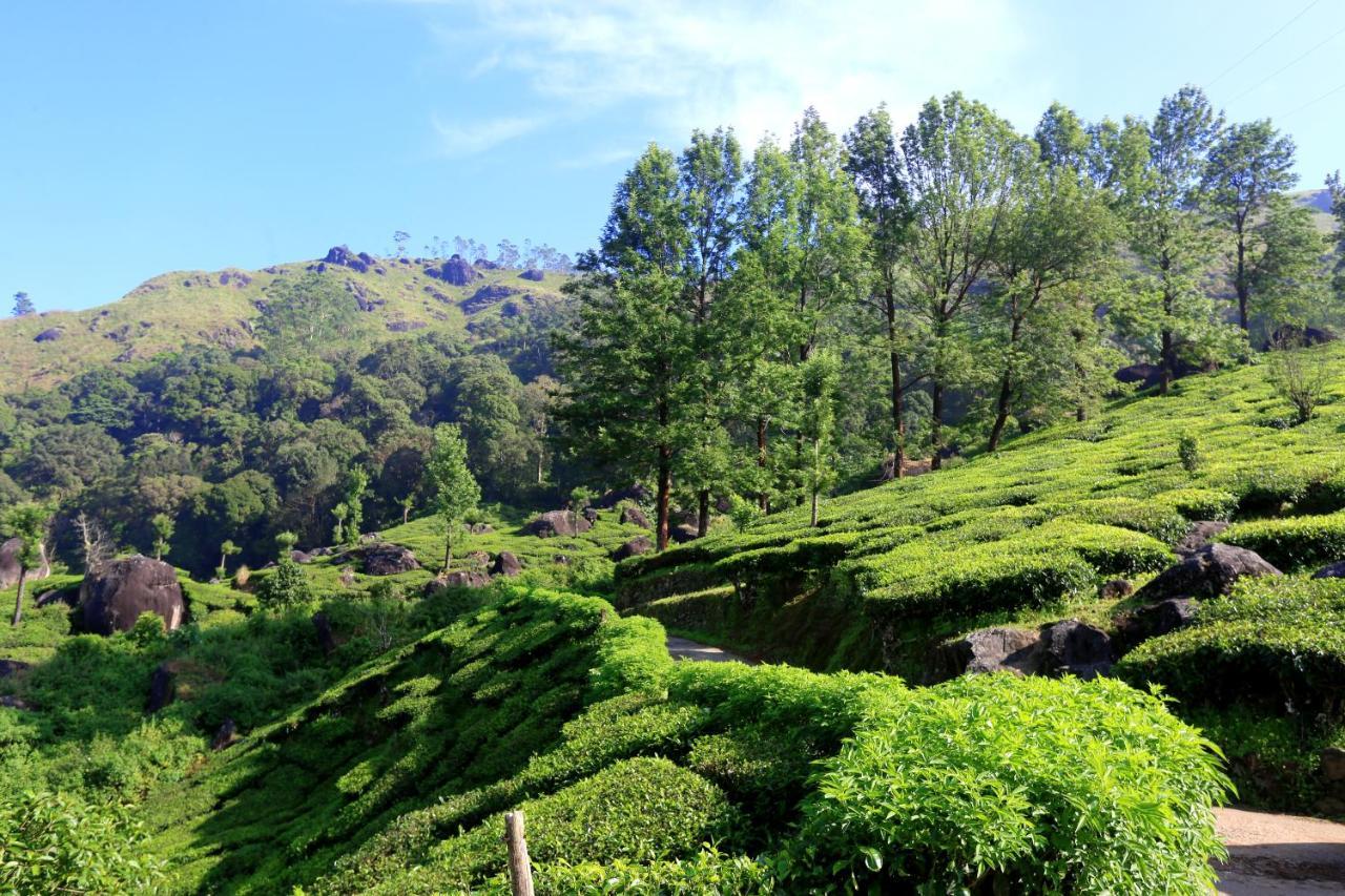 Magic Munnar