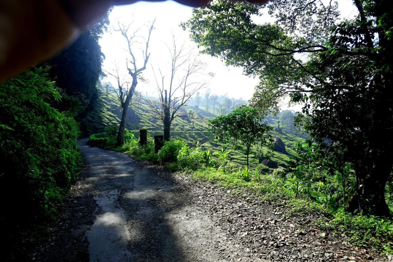 Homestay Magic *