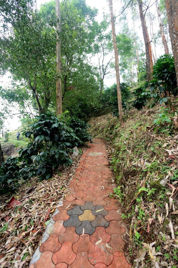 Magic Munnar