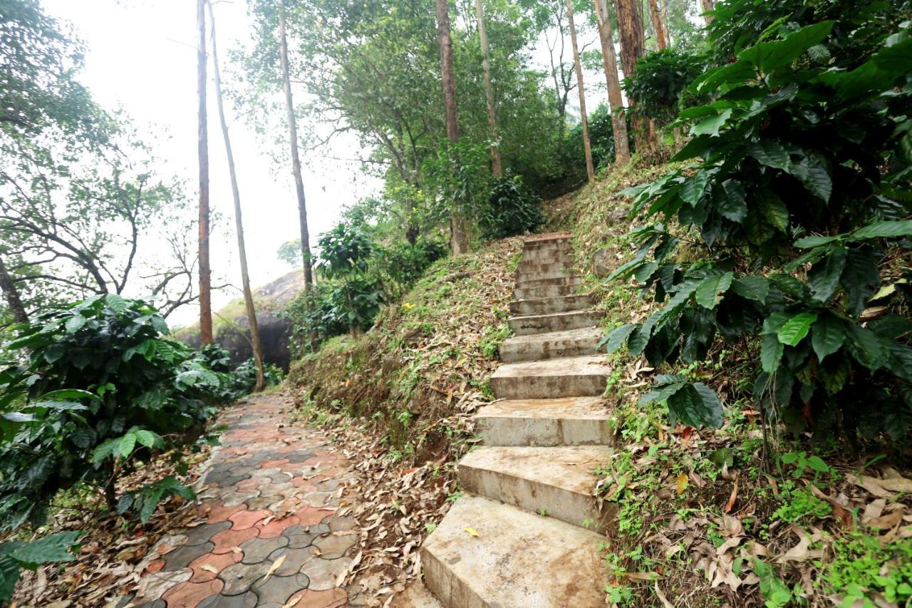 Homestay Magic