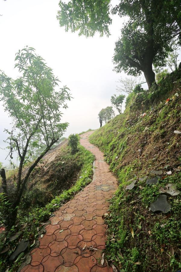 Magic Munnar