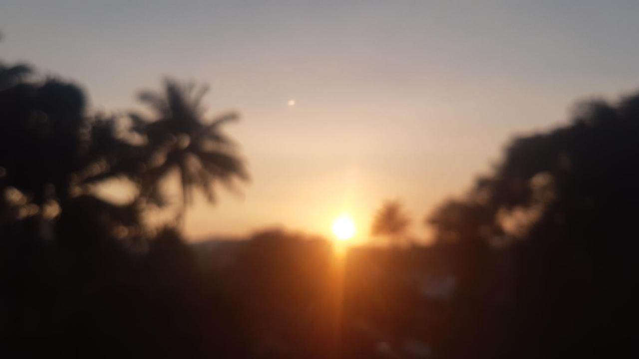 Himadri Holidays *