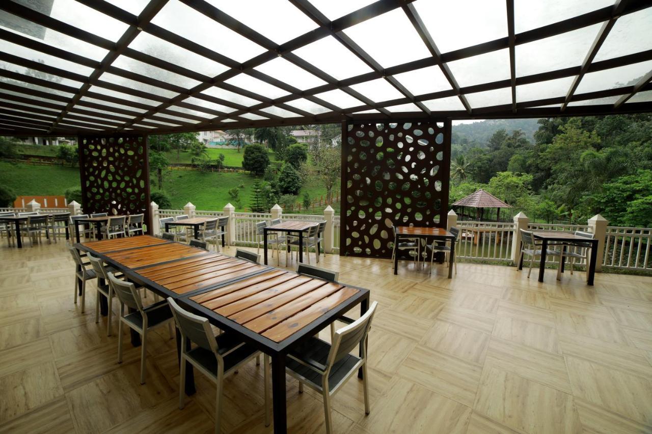 Resort Broad Bean &