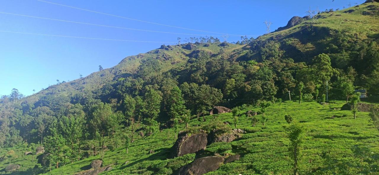 Homestay Tea Dale - With Tea Estate View Munnar