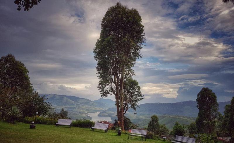 Resort The Regalia Munnar