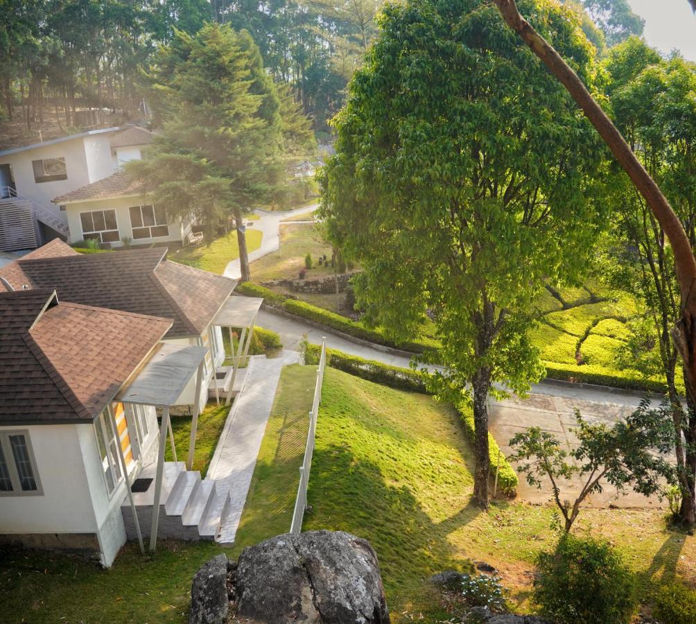 The Regalia Munnar