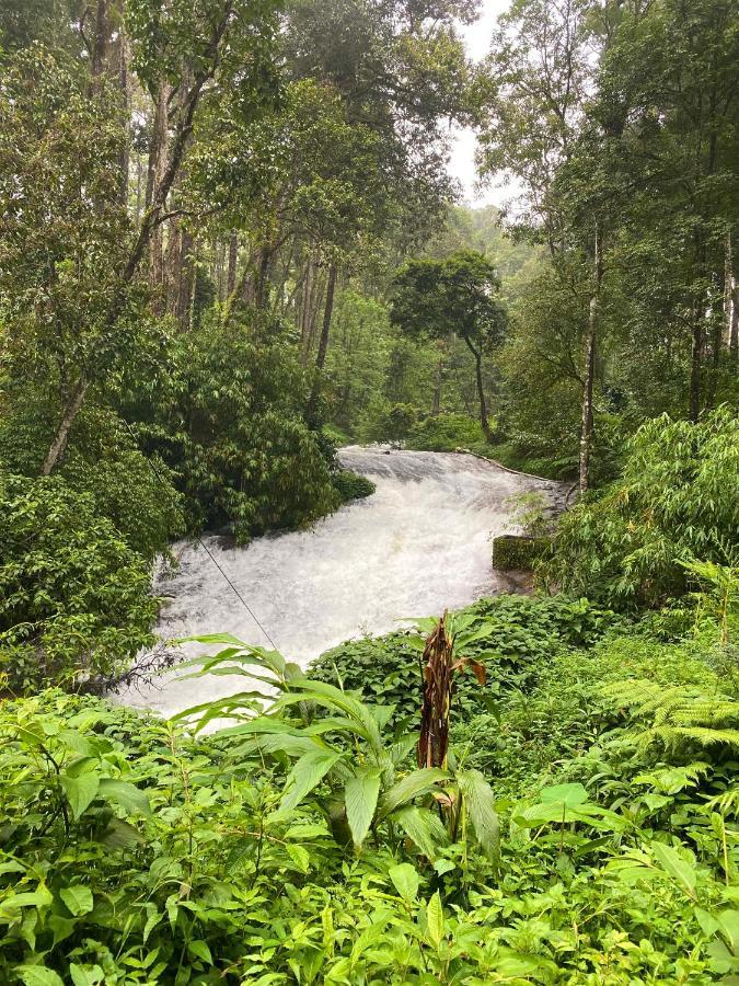 Flower Valley Plantation Homestay