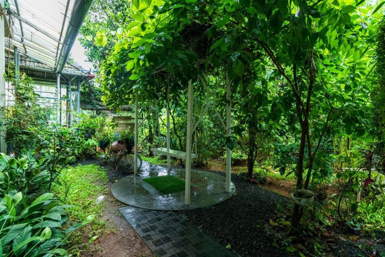 Homestay Mistletoe & Cafe